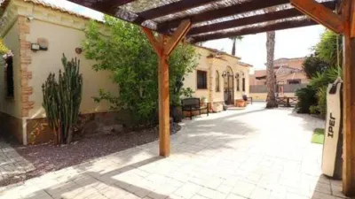 Chalet in Formentera del Segura photo 32