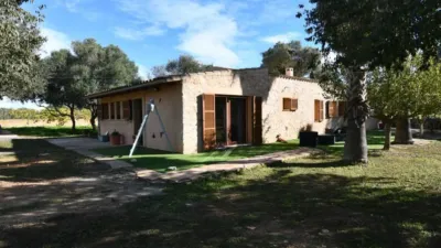 Rustic house in Felanitx photo 10