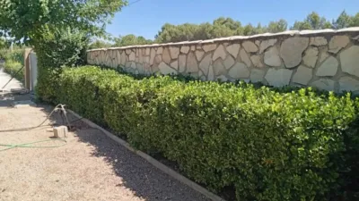 Chalet in Albacete Capital photo 3