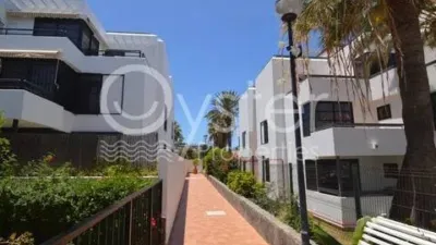 Apartment on Avenida Santiago Puig photo 17