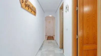 Apartment in Las Adelfas-Benicolada-Garduix photo 19