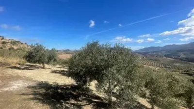 Chalet in El Burgo photo 28