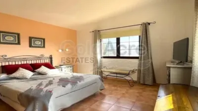 Chalet in La Oliva photo 4