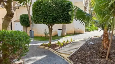 Chalet in Elx - Elche photo 27