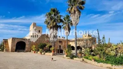 Rustic property in Santa Margalida photo 39