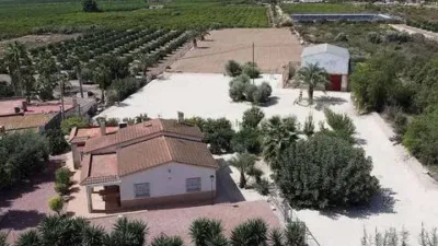 Casa – Crevillent, el Baix Vinalopó - Més