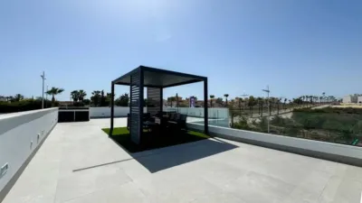 Chalet in Algorfa photo 33
