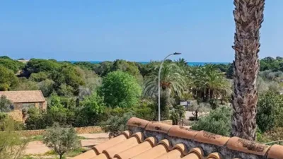 Chalet in Elx - Elche photo 22