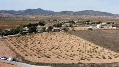 Terreno en venta en El Pinós - Pinoso - Vista 4