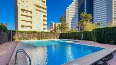 Apartment in Las Adelfas-Benicolada-Garduix photo 32
