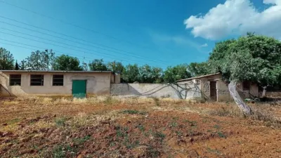 Rustic house in Son Sardina photo 34