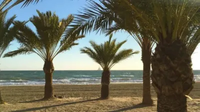 Apartment in Centre-Port-Platja Llevant photo 4