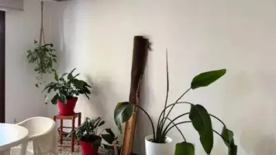 Apartment in Xirivella photo 4