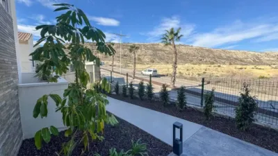 Apartment in Algorfa photo 39