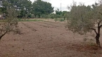 Chalet in Albacete Capital photo 23