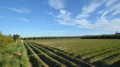 Terreno en venta en Orihuela - Vista 4