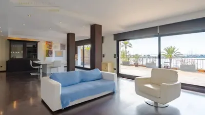 Apartment in Alcúdia photo 3