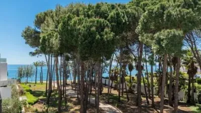 House in Costa Natura photo 19