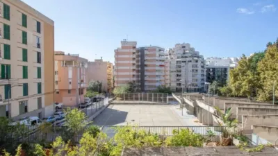 Flat in Santa Catalina photo 47