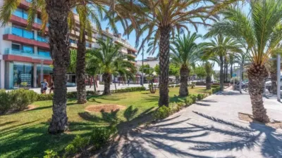 Apartment in Alcúdia photo 5