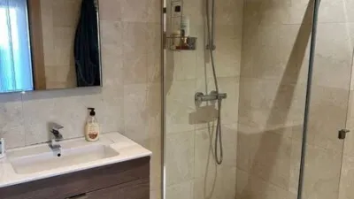 Penthouse in Valle de Trapagaran photo 43