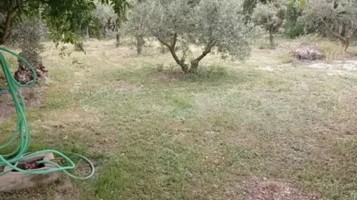Chalet in Albacete Capital photo 14