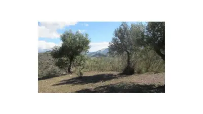 Chalet in Algodonales photo 9