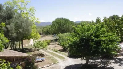 Chalet in Cas Concos photo 6