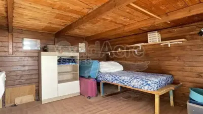 Chalet in La Oliva photo 26