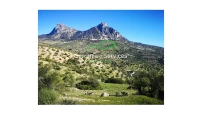 Rustic house in El Gastor photo 10