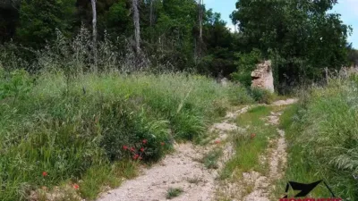 Rustic house in Vila-rodona photo 26
