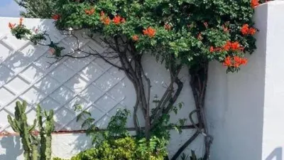 Flat in Empuriabrava photo 5