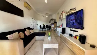 Apartment in Alcúdia photo 14