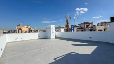 Apartment in Algorfa photo 22