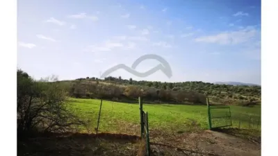 Chalet en Algodonales photo 10