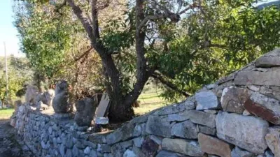 Chalet in El Gastor photo 17