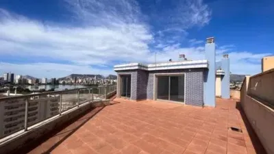 Top Floor Apartment in Carrer de Llevant photo 22
