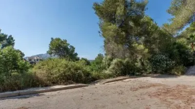 Terreno en venta en los Cerezos-La Mandarina-La Finca-Covatelles - Vista 5