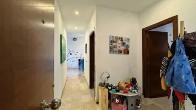 Apartment in Alcúdia photo 30