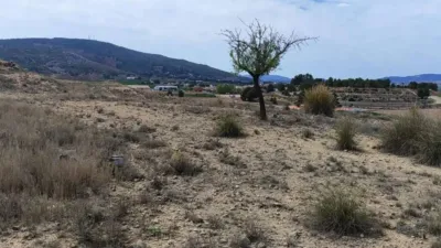 Terreno en venta en Carrús Este-Camí Dels Magros - Vista 2