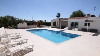Pis – Crevillent, el Baix Vinalopó - Vista 2