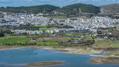 Apartment in Bornos photo 23