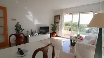 Apartment in Centre photo 2