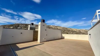 Apartment in Algorfa photo 35