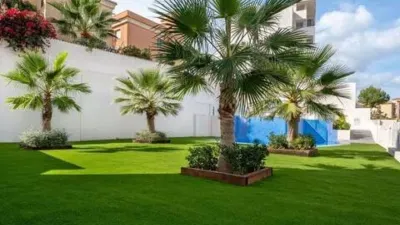 Penthouse in Orihuela Costa photo 21