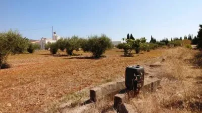 Terreno en venta en los Cerezos-La Mandarina-La Finca-Covatelles - Vista 3