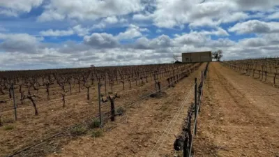 Terreno en venta en Tarazona de La Mancha - Vista 2