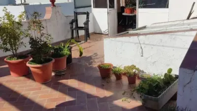 Chalet in Barbate photo 42