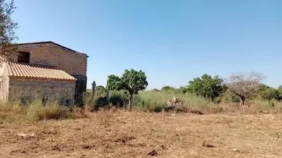 Rustic house in Búger photo 9