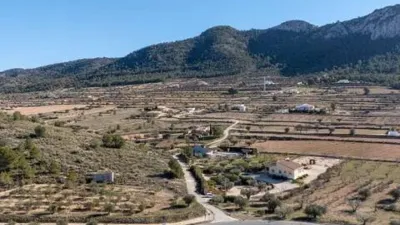 Chalet in Jumilla photo 50